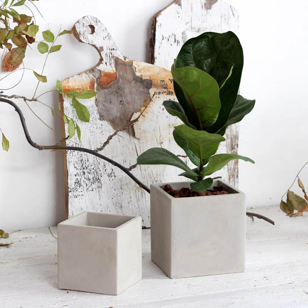 Large Square Flowerpot Silicon - Potsticker Mold ulasan dan harga