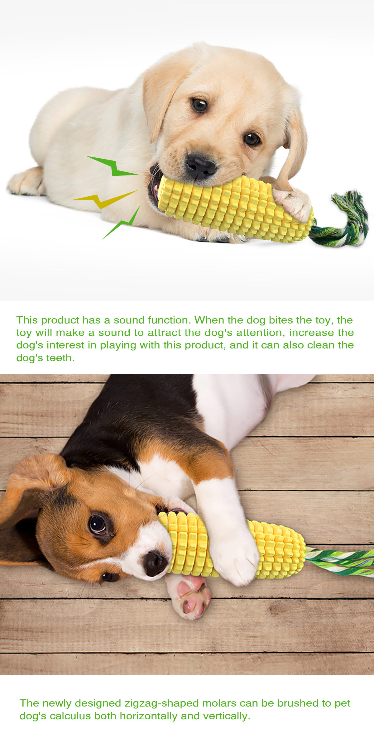 Hot Selling Large Size Corn Sh - Corn Dog Stick ulasan dan harga